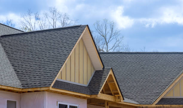Best Skylight Installation and Repair  in Lakeland, FL